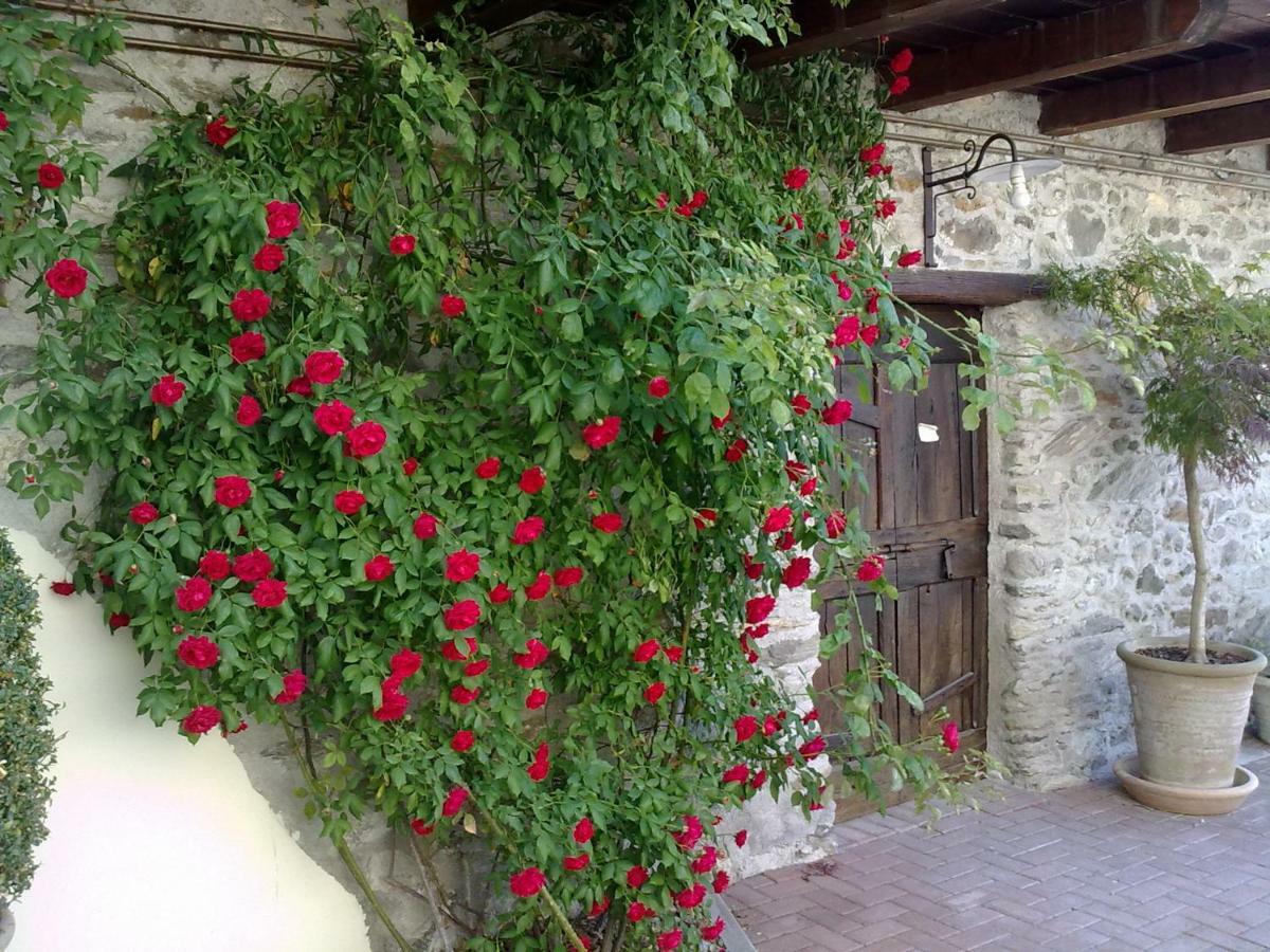 Residenza Antica Corte Villa Picta Buglio in Monte Exterior photo